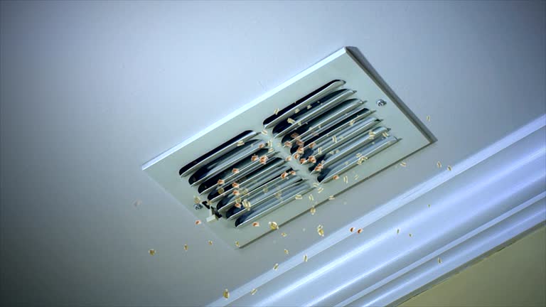 Best Best Air Duct Cleaning Company  in Dayton, WA