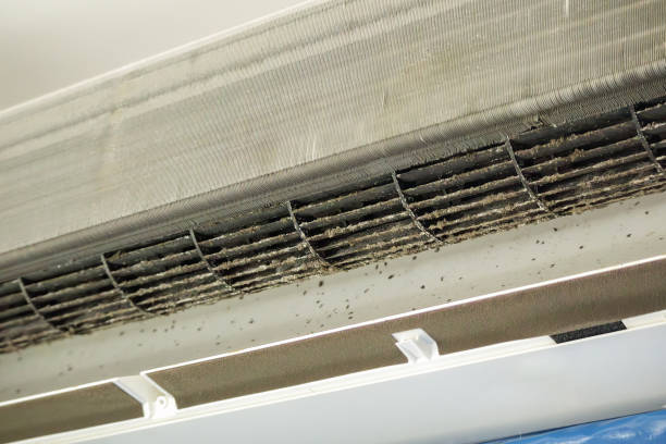 Best Affordable HVAC Duct Cleaning  in Dayton, WA